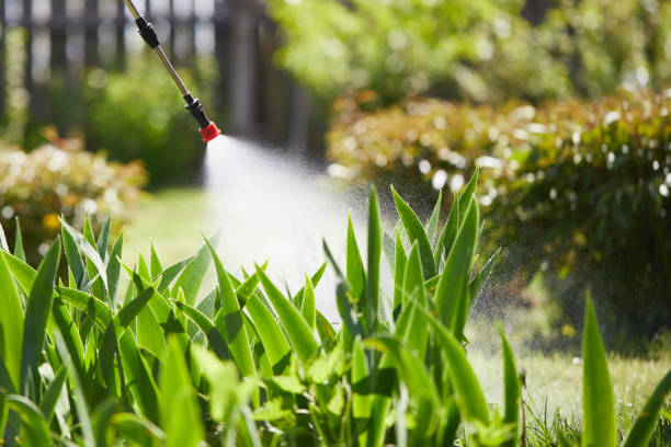 24/7 Emergency Cockroach Control experts in Cache, OK